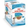 Royal Canin Size Health Nutrition Small Puppy Chunks In Gravy Dog Food Pouch -Snuggle Paws 181592 MAIN. AC SS1800 V1697139232