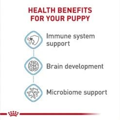 Royal Canin Size Health Nutrition Small Puppy Chunks In Gravy Dog Food Pouch -Snuggle Paws 181592 PT4. AC SS1800 V1697216753
