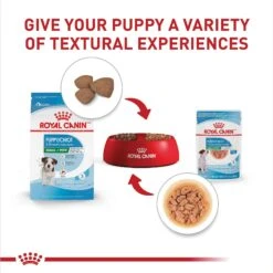 Royal Canin Size Health Nutrition Small Puppy Chunks In Gravy Dog Food Pouch -Snuggle Paws 181592 PT5. AC SS1800 V1697213407