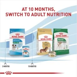 Royal Canin Size Health Nutrition Small Puppy Chunks In Gravy Dog Food Pouch -Snuggle Paws 181592 PT6. AC SS1800 V1697213152