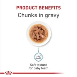 Royal Canin Size Health Nutrition Medium Puppy Chunks In Gravy Dog Food Pouch, 4.9-oz, Case Of 10 -Snuggle Paws 181594 PT4. AC SS1800 V1697213712