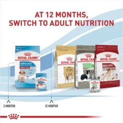 Royal Canin Size Health Nutrition Medium Puppy Chunks In Gravy Dog Food Pouch, 4.9-oz, Case Of 10 -Snuggle Paws 181594 PT7. AC SS1800 V1697213153