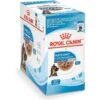 Royal Canin Size Health Nutrition Large Puppy Chunks In Gravy Dog Food Pouch, 4.9-oz, Case Of 10 1 Royal Canin Size Health Nutrition Large Puppy Chunks In Gravy Dog Food Pouch, 4.9-oz, Case Of 10 -Snuggle Paws 181596 MAIN. AC SS1800 V1697139200