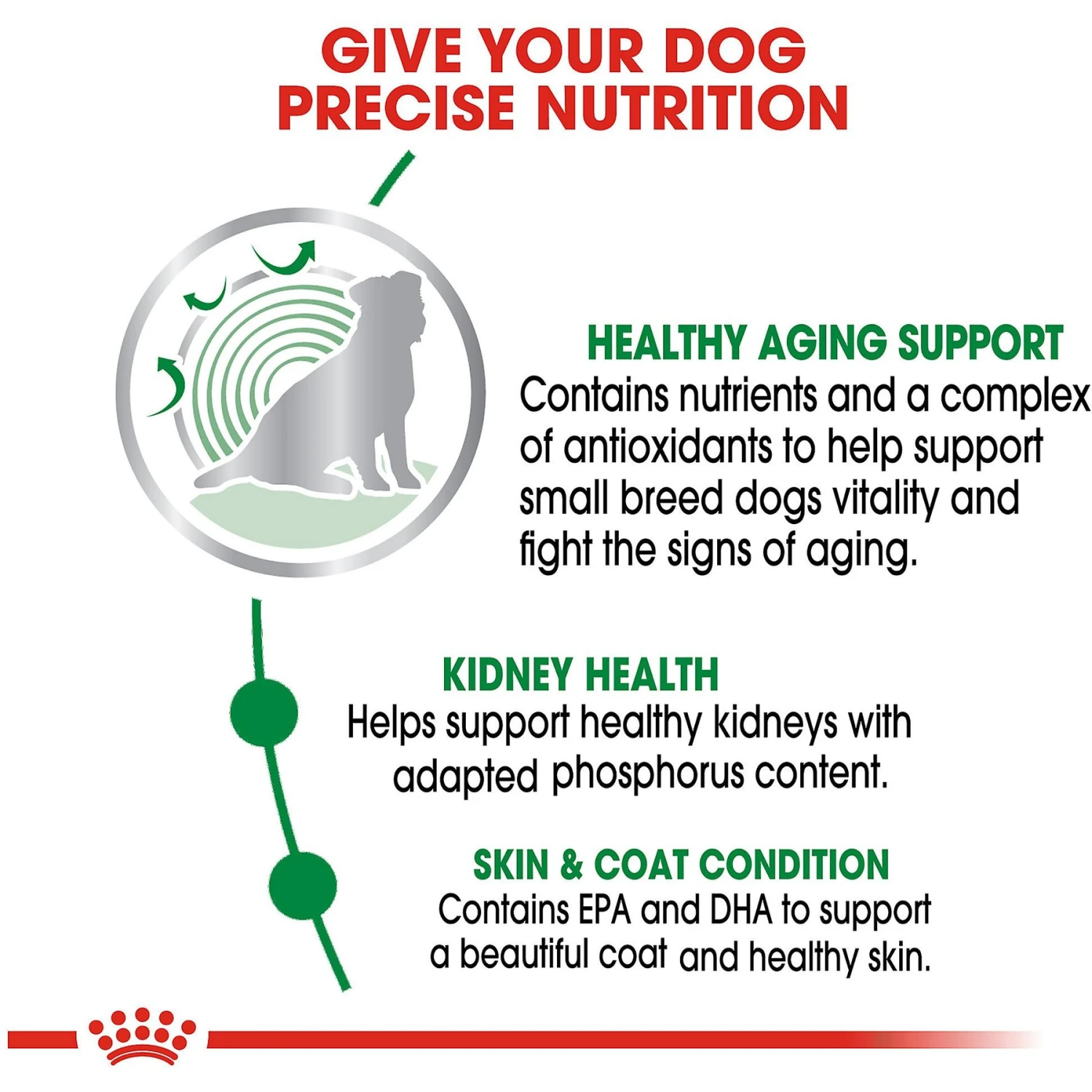 Royal Canin Size Health Nutrition Small Aging 12+ Chunks In Gravy Dog Food Pouch 6 Royal Canin Size Health Nutrition Small Aging 12+ Chunks In Gravy Dog Food Pouch - Image 4