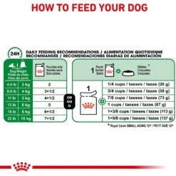 Royal Canin Size Health Nutrition Small Aging 12+ Chunks In Gravy Dog Food Pouch 14 Royal Canin Size Health Nutrition Small Aging 12+ Chunks In Gravy Dog Food Pouch -Snuggle Paws 181604 PT5. AC SS1800 V1696451668