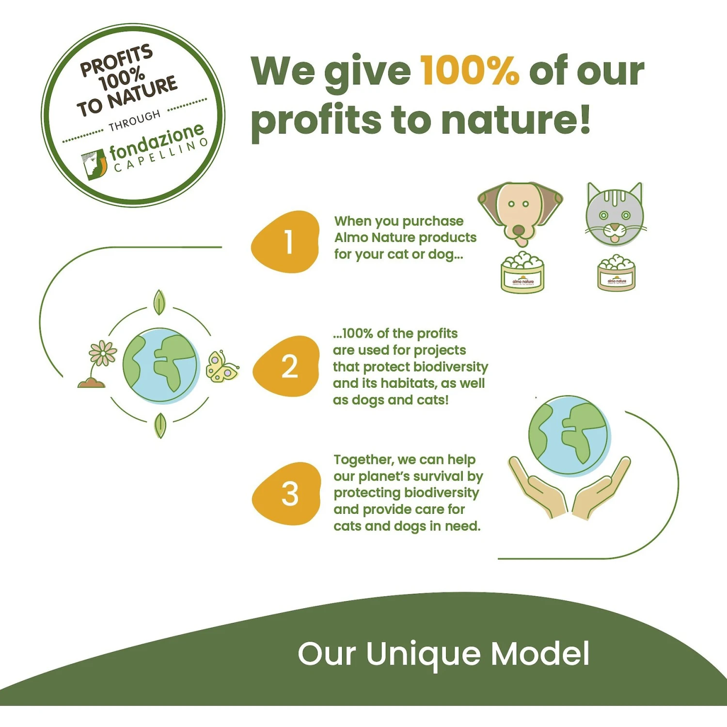 Almo Nature HQS Complete Chicken Dinner With Cheese & Egg Canned Dog Food 10 Almo Nature HQS Complete Chicken Dinner With Cheese & Egg Canned Dog Food - Image 8