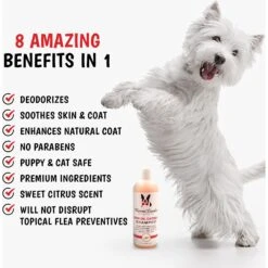 Warren London Neem Oil Flea & Tick Itch Relieving Dog Shampoo -Snuggle Paws 183110 PT2. AC SS1800 V1660255156