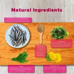 Forza10 Nutraceutic Legend Digestion Grain-Free Wild Caught Anchovy Dry Dog Food -Snuggle Paws 183221 PT5. AC SS1800 V1563547039