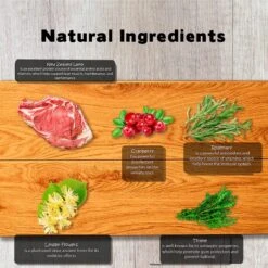 Forza10 Legend New Zealand Lamb With Venison Grain-Free Dry Dog Food -Snuggle Paws 183228 PT5. AC SS1800 V1566504423