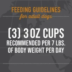 Tiki Dog Taste Of Spain Chicken & Shrimp Paella Recipe In Broth Gluten-Free Wet Dog Food, 3-oz Cup, Case Of 4 18 Tiki Dog Taste Of Spain Chicken & Shrimp Paella Recipe In Broth Gluten-Free Wet Dog Food, 3-oz Cup, Case Of 4 -Snuggle Paws 186337 PT7. AC SS1800 V1631199409