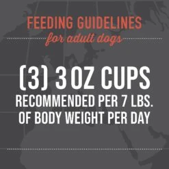Tiki Dog Taste Of Asia Chicken & Snow Peas Stir Fry Recipe In Broth Gluten-Free Wet Dog Food, 3-oz Cup, Case Of 4 18 Tiki Dog Taste Of Asia Chicken & Snow Peas Stir Fry Recipe In Broth Gluten-Free Wet Dog Food, 3-oz Cup, Case Of 4 -Snuggle Paws 186339 PT7. AC SS1800 V1631197898