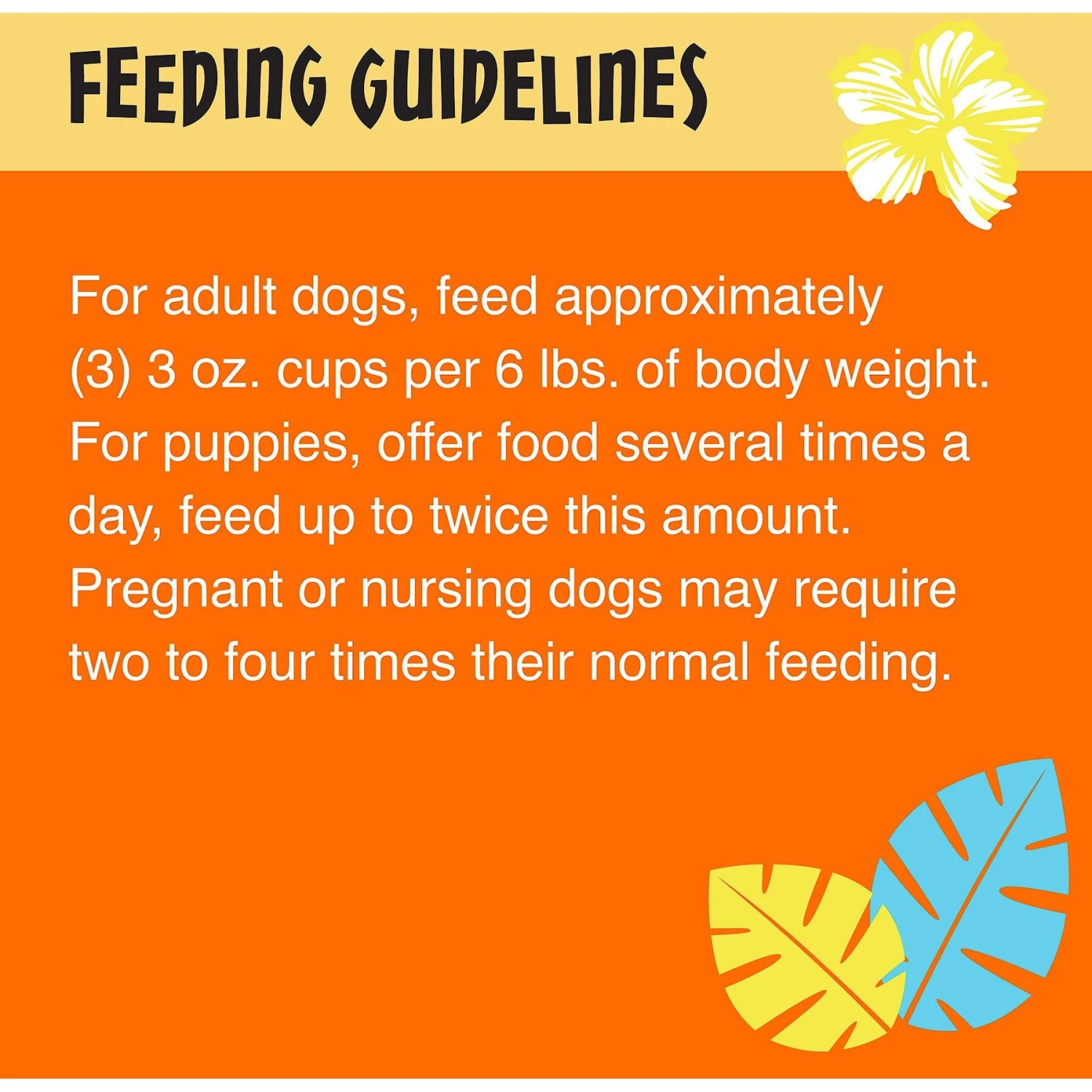 Tiki Dog Meaty High Protein Diet Chicken Recipe In Broth Grain-Free Wet Dog Food, 3-oz Cup, Case Of 4 9 Tiki Dog Meaty High Protein Diet Chicken Recipe In Broth Grain-Free Wet Dog Food, 3-oz Cup, Case Of 4 - Image 7