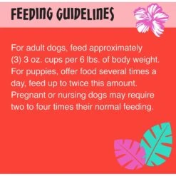 Tiki Dog Meaty High Protein Diet Chicken With Beef Recipe In Broth Grain-Free Wet Dog Food, 3-oz Cup, Case Of 4 -Snuggle Paws 186351 PT6. AC SS1800 V1565099586