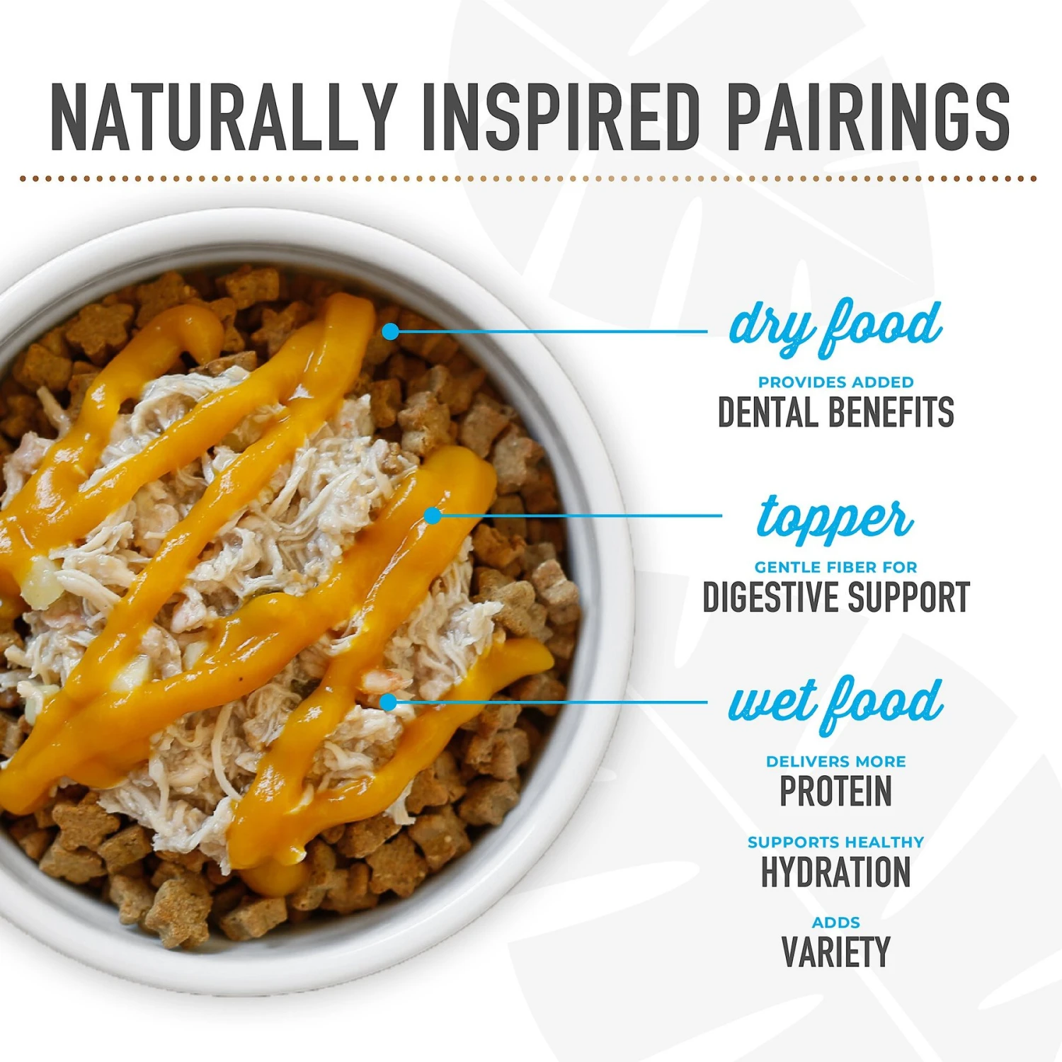 Tiki Dog Meaty High Protein Diet Variety Pack Grain-Free Wet Dog Food, 3-oz Cup, Case Of 10 10 Tiki Dog Meaty High Protein Diet Variety Pack Grain-Free Wet Dog Food, 3-oz Cup, Case Of 10 - Image 8