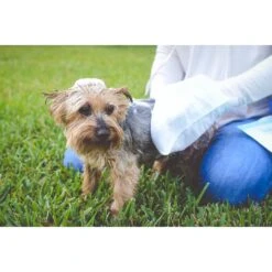 Scrubby Instant Bath Rinse Free Dog Shampoo Mittens -Snuggle Paws 190318 pt5. AC SS1800 V1580507328