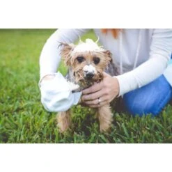 Scrubby Instant Bath Rinse Free Dog Shampoo Mittens -Snuggle Paws 190318 pt6. AC SS1800 V1580507306