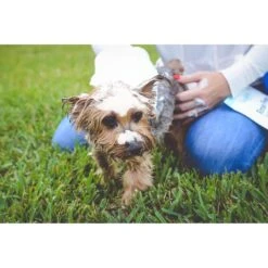 Scrubby Instant Bath Rinse Free Dog Shampoo Mittens -Snuggle Paws 190318 pt7. AC SS1800 V1580507332