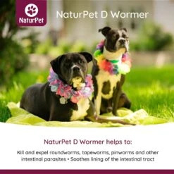 NaturPet D Wormer Natural Remedy For Cats & Dogs -Snuggle Paws 191462 PT2. AC SS1800 V1568239322