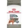 Royal Canin Canine Care Nutrition Medium Dental Care Dry Dog Food -Snuggle Paws 192002 MAIN. AC SS1800 V1695156231