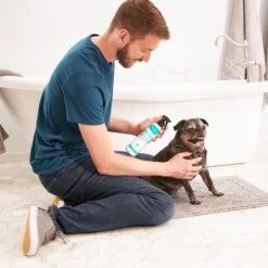 Frisco Aloe Hydrating Dog & Cat Spray, Sweet Nectar Scent 8 Frisco Aloe Hydrating Dog & Cat Spray, Sweet Nectar Scent -Snuggle Paws 192084 PT3. AC SS1800 V1585321073