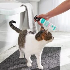 Frisco Aloe Hydrating Dog & Cat Spray, Sweet Nectar Scent 9 Frisco Aloe Hydrating Dog & Cat Spray, Sweet Nectar Scent -Snuggle Paws 192084 PT4. AC SS1800 V1589487682