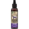 RELIQ Lavender Odor Eliminator Pet Spray, 4-oz Bottle -Snuggle Paws 192183 MAIN. AC SS1800 V1565798246