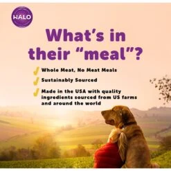 Halo Lamb Stew Adult Canned Dog Food -Snuggle Paws 194484 PT4. AC SS1800 V1594849264