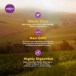 Halo Lamb Stew Adult Canned Dog Food -Snuggle Paws 194484 PT5. AC SS1800 V1594851372