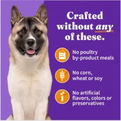 Halo Holistic Chicken Recipe Senior Canned Dog Food -Snuggle Paws 194491 PT5. AC SS1800 V1695310200