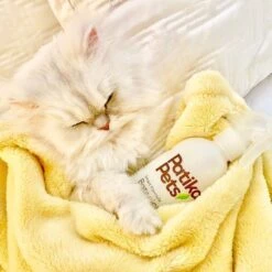 Patika Pets Smart Formula Botanical Skin & Coat Waterless Cleanser Dog Spray, 16.2-oz Bottle -Snuggle Paws 194897 PT5. AC SS1800 V1646698965