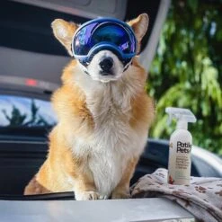 Patika Pets Smart Formula Botanical Skin & Coat Waterless Cleanser Dog Spray, 16.2-oz Bottle -Snuggle Paws 194897 PT7. AC SS1800 V1646692602