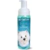 Bio-Groom Facial Foam Dog Cleanser -Snuggle Paws 195486 MAIN. AC SS1800 V1602870685