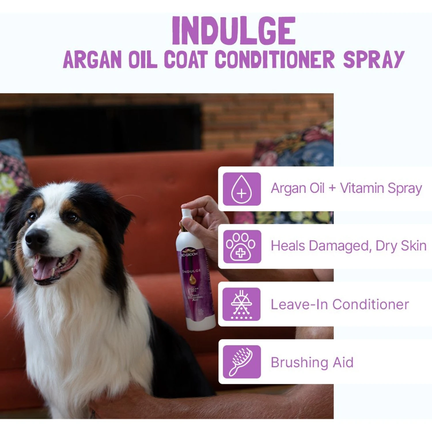 Bio-Groom Indulge With Argon Oil Daily Brushing Aid Dog Spray, 12-oz Bottle 5 Bio-Groom Indulge With Argon Oil Daily Brushing Aid Dog Spray, 12-oz Bottle - Image 3