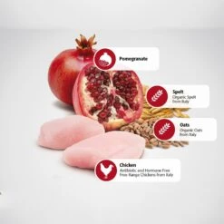 Farmina N&D Ancestral Grain Chicken & Pomegranate Mini Light Dry Dog Food -Snuggle Paws 196215 PT4. AC SS1800 V1591128357