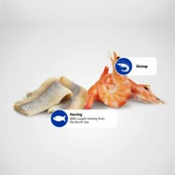 Farmina Natural & Delicious Ocean Herring & Shrimps Canned Dog Food -Snuggle Paws 197029 PT5. AC SS1800 V1591128383