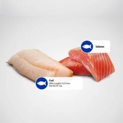 Farmina Natural & Delicious Ocean Salmon & Cod Canned Dog Food 15 Farmina Natural & Delicious Ocean Salmon & Cod Canned Dog Food -Snuggle Paws 197032 PT5. AC SS1800 V1679330225