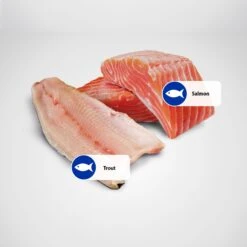 Farmina Natural & Delicious Ocean Trout & Salmon Canned Dog Food -Snuggle Paws 197038 PT5. AC SS1800 V1591128656