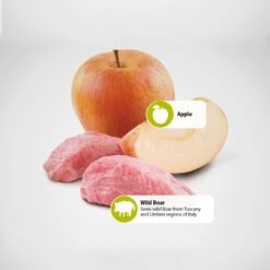 Farmina Natural & Delicious Prime Boar & Apple Canned Dog Food 9 Farmina Natural & Delicious Prime Boar & Apple Canned Dog Food -Snuggle Paws 197041 PT5. AC SS1800 V1591128662