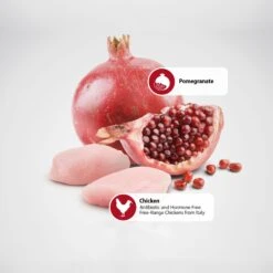 Farmina Natural & Delicious Prime Chicken & Pomegranate Canned Dog Food -Snuggle Paws 197047 PT5. AC SS1800 V1591128677