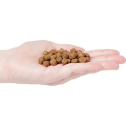 Country Vet Naturals 24-10 Senior Dog Food -Snuggle Paws 199189 PT2. AC SS1800 V1569428933