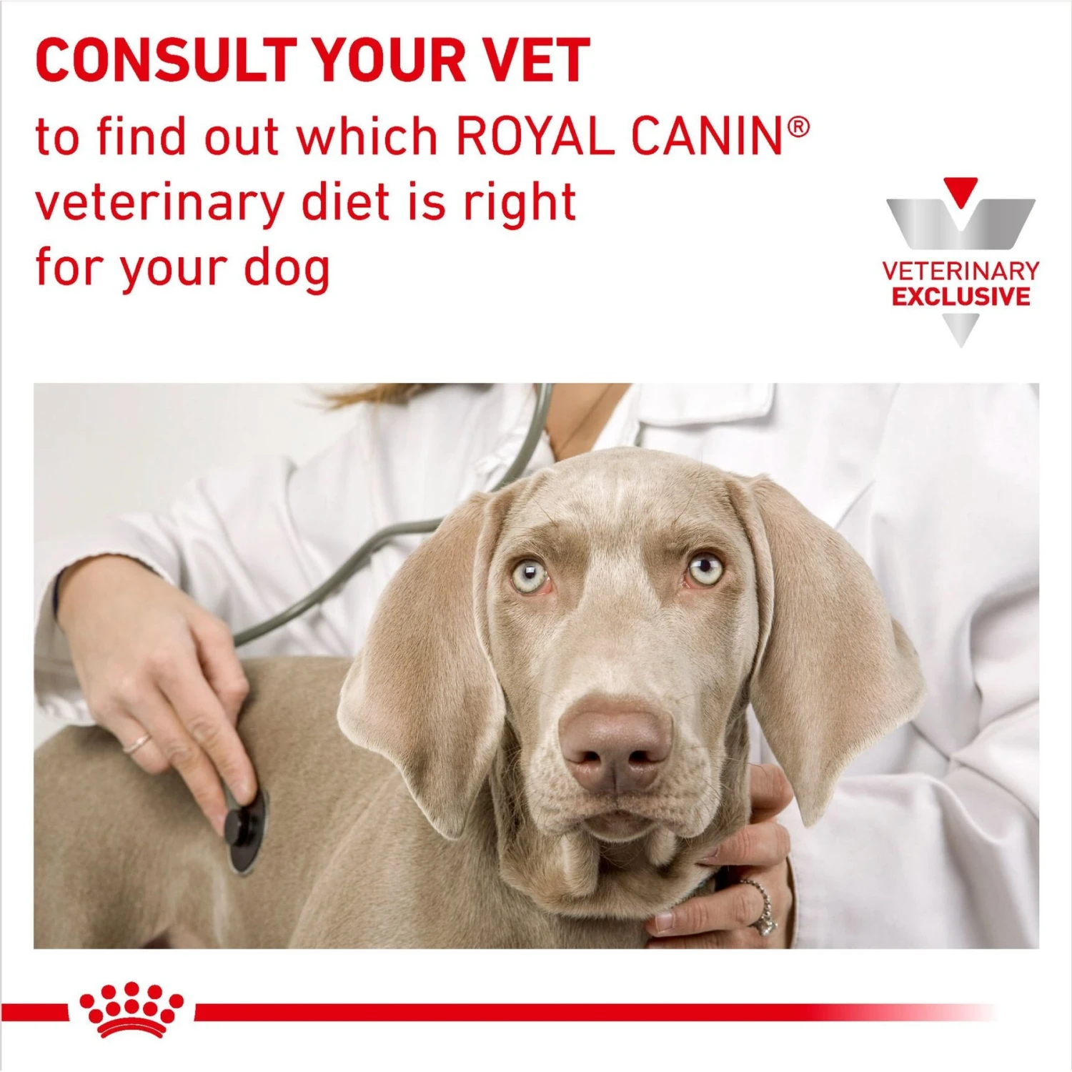 Royal Canin Veterinary Diet Adult Urinary SO Thin Slices In Gravy Canned Dog Food 9 Royal Canin Veterinary Diet Adult Urinary SO Thin Slices In Gravy Canned Dog Food - Image 7