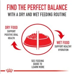 Royal Canin Veterinary Diet Adult Urinary SO Aging 7+ Dry Dog Food -Snuggle Paws 204178 PT6. AC SS1800 V1692368269