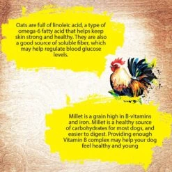 Inception Chicken Recipe Dry Dog Food 13 Inception Chicken Recipe Dry Dog Food -Snuggle Paws 205313 PT4. AC SS1800 V1582043299