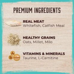 Inception Fish Recipe Dry Dog Food 13 Inception Fish Recipe Dry Dog Food -Snuggle Paws 205321 PT2. AC SS1800 V1642547785