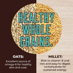 Inception Fish Recipe Dry Dog Food 15 Inception Fish Recipe Dry Dog Food -Snuggle Paws 205321 PT4. AC SS1800 V1642582991