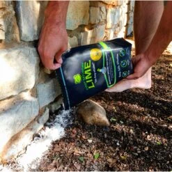 First Saturday Lime Monthly Pet Insect Repellent -Snuggle Paws 206571 PT2. AC SS1800 V1572278357