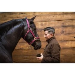 First Saturday Lime Monthly Pet Insect Repellent -Snuggle Paws 206571 PT4. AC SS1800 V1572278364