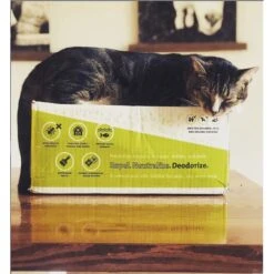 First Saturday Lime Monthly Pet Insect Repellent -Snuggle Paws 206571 PT7. AC SS1800 V1572278298