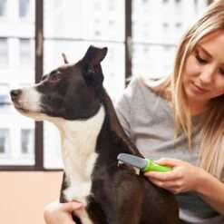 Frisco Single-Row Flea Comb For Cats & Dogs -Snuggle Paws 206884 PT7. AC SS1800 V1600915983