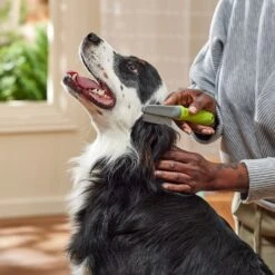 Frisco Double-Row Flea Comb For Cats & Dogs -Snuggle Paws 206886 PT3. AC SS1800 V1680186388